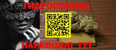 стаф Нальчик