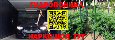 стаф Нальчик