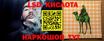 стаф Нальчик