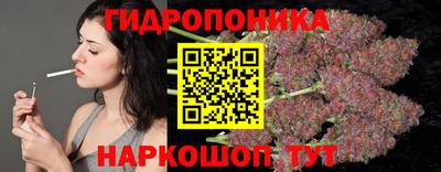 стаф Нальчик