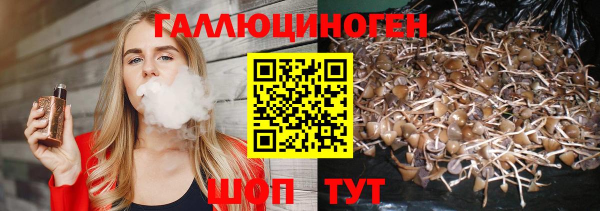 Галлюциногенные грибы GOLDEN TEACHER  Вход с VPN  Топки  Псилоцибиновые грибы Psilocybine cubensis 