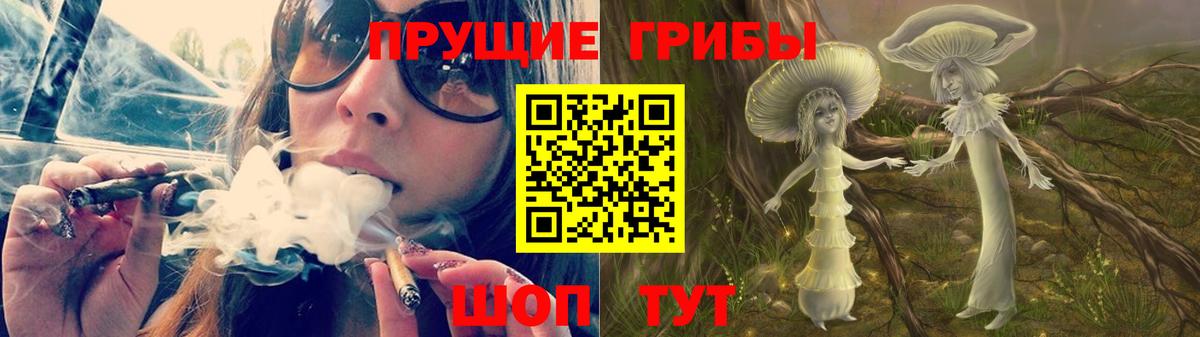 Галлюциногенные грибы Psilocybe Топки