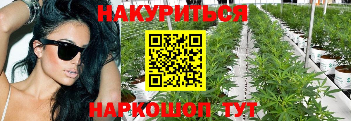 МАРИХУАНА OG Kush Топки